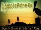 Picture for song 'A place I'd Rather be' by artist 'Little Stevie and the FatRatz'