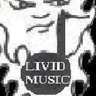 Picture for song 'InstrumentalN,O,H,' by artist 'LIVIDBEATZ'