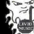 Picture for song 'InstrumentalN,O,H,3' by artist 'LIVIDBEATZ'