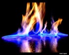 Picture for song 'Heart in Flame (TG)' by artist 'LooneyManSlayedIt'