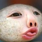 Picture for song 'SillyMF*****NEW***SLAPPZ!!' by artist 'LooneyManSlayedIt'