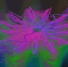 Picture for song 'Buzzeta' by artist 'Loren'