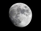 Picture for song 'Moon Status' by artist 'LTBE'
