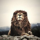 Picture for song '*NEW* KING LIFE' by artist 'Maksym Beats'