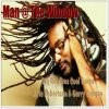 Picture for song 'Sweet T' by artist 'Man At The Window Reggae Artists'