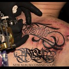 Picture for song 'pussys' by artist 'Marcello (Funkviertel)'