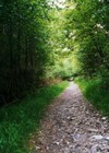 Picture for song 'Celtic Journey' by artist 'Mariano Guerino'
