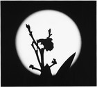 Picture for song 'Vocal Reflection 1' by artist 'Mary McGrath'