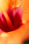 Picture for song 'Where Would I Be Without You?' by artist 'Mary McGrath'