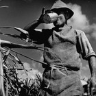 Picture for song 'Workin' Hard ::FREE DL::' by artist 'Masterpiece Music'