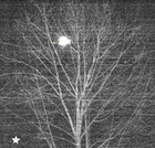 Picture for song 'Melissa' by artist 'Matt Pierce'