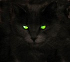 Picture for song 'Look in my eye (open collab)' by artist 'Mavado Roaster'