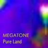 Picture for song 'Black Lotus' by artist 'megatone'
