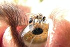 Picture for song 'Open Yo Eyes' by artist 'Mentally High'
