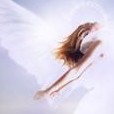 Picture for song 'Flight Of An Angel' by artist 'Michael Bennett'