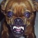 Picture for song 'Mean 'Ole Dog' by artist 'Michael Haze'