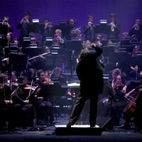 Picture for song 'Since My Love Has Gone - Arrangement' by artist 'Michael Palmieri'