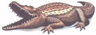 Picture for song 'The Electric Alligator plays December 1982' by artist 'Michael Palmieri'