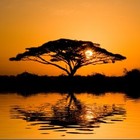 Picture for song 'When The Sun Sets' by artist 'Mikejazz'