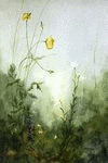 Picture for song 'The Shores Of America' by artist 'Mik Kro'