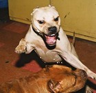 Picture for song 'FREE BEAT I feel it' by artist 'MindState Records'