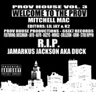 Picture for song 'When It's Ova.MP3' by artist 'Mitchell Mac'