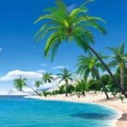 Picture for song '*SOLD* Paradise | SOLD' by artist 'Money Digital Music'