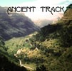Picture for song 'Ancient Track' by artist 'Mon Sondomar'