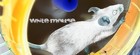 Picture for song 'Concrete Trees' by artist 'Mouse The Prodigy'