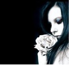 Picture for song 'Just A Fool' by artist 'Mozart Beats'