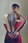 Picture for song 'My Back Bones' by artist 'Mr Bent Productions'