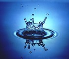 Picture for song 'The Aquatic Movement' by artist 'Mr.Kooman'
