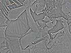 Picture for song 'Get Knocked Down (Edited for Radio)' by artist 'Murda 1 Radio Edits'