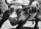 Picture for song 'Raging Bull' by artist 'Musikero Pasangawa'