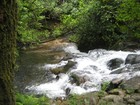 Picture for song 'River Chase (cedarflute)' by artist 'MusInc'