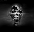 Picture for song 'The Theme (Prod. By Shaun T)' by artist 'n2uProductions'