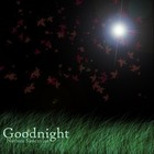Picture for song 'Goodnight' by artist 'Nathan Skoczylas'