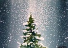 Picture for song 'Oh Xmas Tree' by artist 'nat moon'