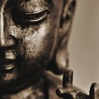 Picture for song 'Natural State Music-Beats&Life' by artist 'Natural State Music'