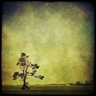 Picture for song 'Still Need You' by artist 'Necromancy Productions'