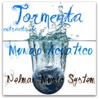 Picture for song 'Mundo Acuatico (extracto) - Tormenta' by artist 'Nelman Music System'