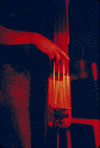 Picture for song 'REZA' by artist 'NewJass Quartet'