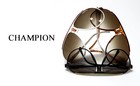 Picture for song 'Champion' by artist 'NGMediaGroup'