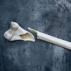 Picture for song 'Heal Your Fractured Body' by artist 'nHzImage'