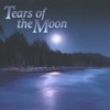 Picture for song 'Tears of the Moon' by artist 'Nick Davis'