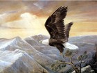 Picture for song 'Freedom' by artist 'NightLife BeatProductions'
