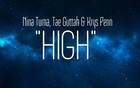 Picture for song 'High - Full Mix 1' by artist 'Nina Turna'