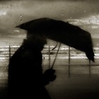 Picture for song 'Drive Slow (w/ Hook) | Free D/L' by artist 'Nine Diamond'