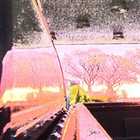 Picture for song 'sunset' by artist 'nodoka'