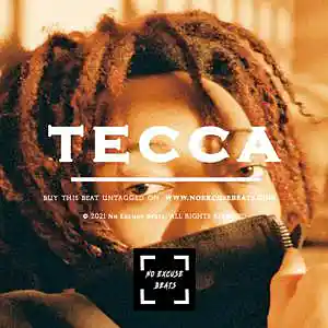 Picture for song 'Lil Tecca "Tecca" BUY 2 GET 1 FREE' by artist 'No Excuse Beats'